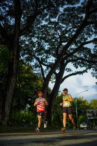 BIB: 
                            <button type="button" onclick="openModal(26551509)" class="btn btn-primary btn-sm float-right btn-popup" data-toggle="modal" data-target=".modal-high-quality">
                        <i class="fas fa-shopping-cart"></i> Add to Cart
                    </button>
                                            <button type="button" onclick="isThisMe(26551509, true)" class="btn btn-success btn-sm float-right btn-popup btn-isme hidden" data-toggle="tooltip" data-placement="bottom" title="นี่คือรูปของคุณใช่ไหม คลิกที่นี่เพื่อเอาเข้าอัลบั้ม">
                        <i class="fas fa-plus"></i> Add to album
                    </button>
                    <button type="button" onclick="isThisMe(26551509, false)" class="btn btn-warning btn-sm float-right btn-popup btn-isnotme hidden">
                        <i class="fas fa-ban"></i> Remove from album
                    </button>